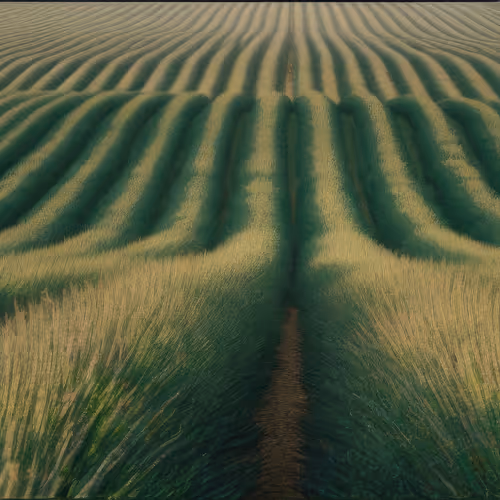 Mirascapes