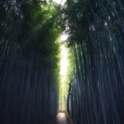 Mirascapes 358