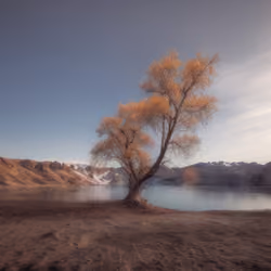 Mirascapes 114