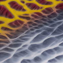 Mirascapes 1071