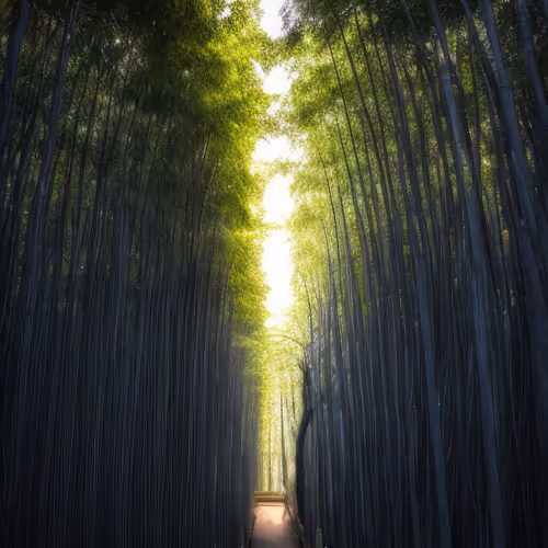 Mirascapes