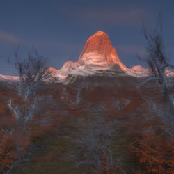 Mirascapes 2419
