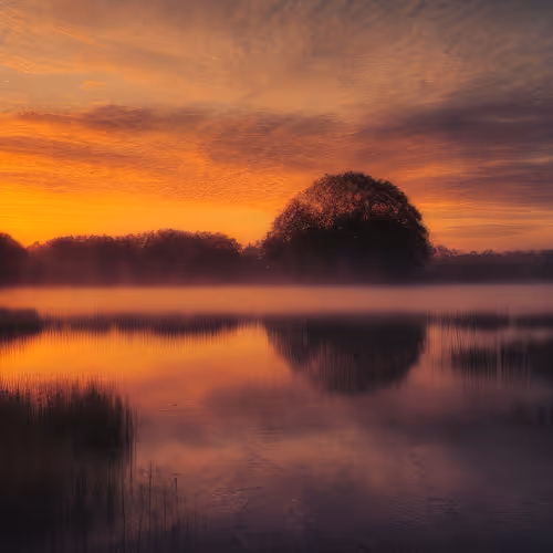 Mirascapes