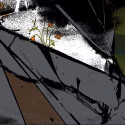 54
