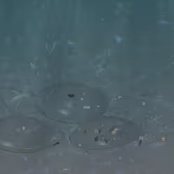 195