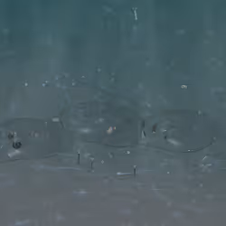 53