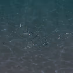 57