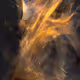Aurora in Ashes