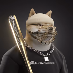 Shiba #7396