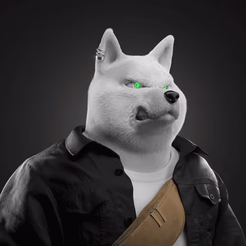 Shiba #1561