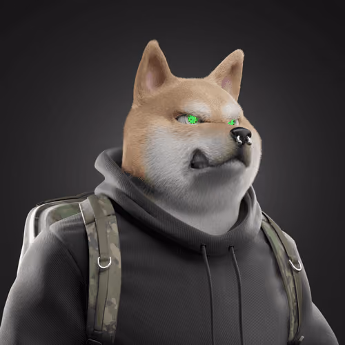 Shiba #3013