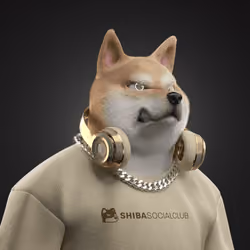 Shiba #2424