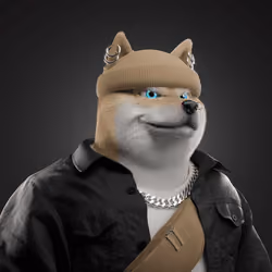 Shiba #6175