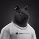2781