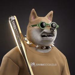Shiba #1632