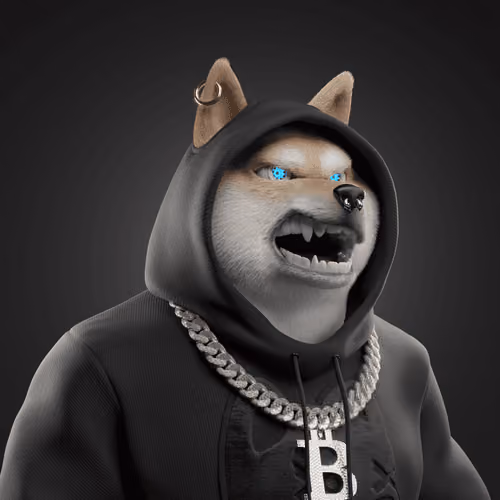 Shiba #5256