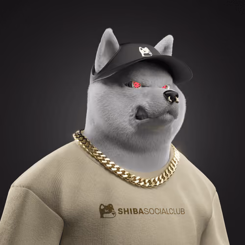 Shiba #1513