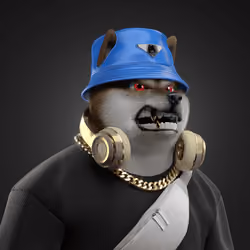 Shiba #2995