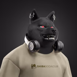 Shiba #5960