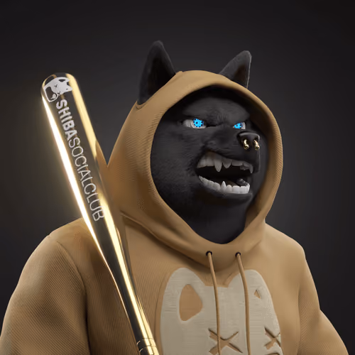 Shiba #1707