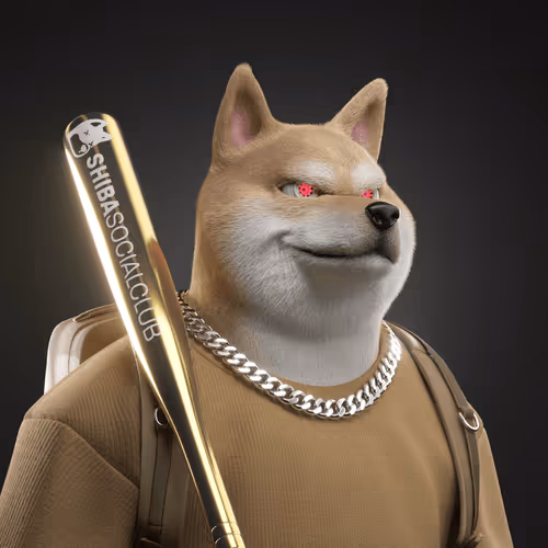 Shiba #16