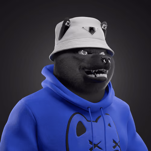 Shiba #6381