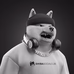 Shiba #2927