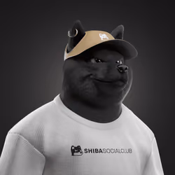 Shiba #3886