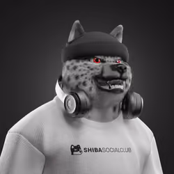 Shiba #7423