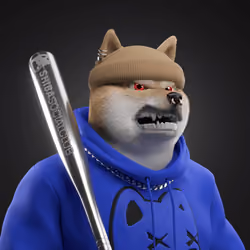 Shiba #2051