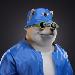 Shiba #6673