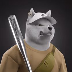 Shiba #6938