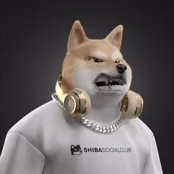 Shiba #4555