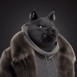 Shiba #6658