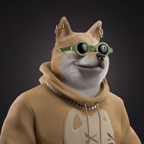 Shiba #2472