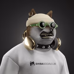 Shiba #7092