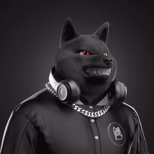 Shiba #3049