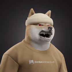 Shiba #2940