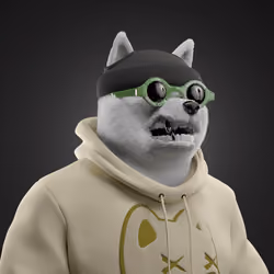Shiba #3840