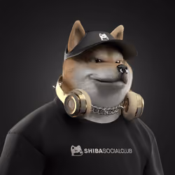 Shiba #1192