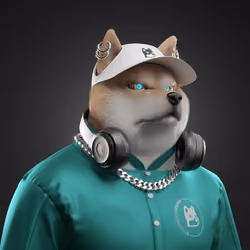 Shiba #3756