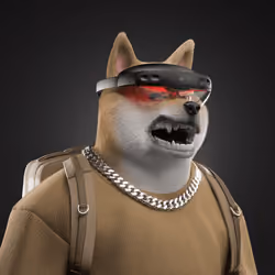 Shiba #1025