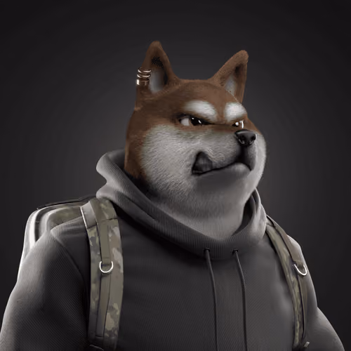 Shiba #1524