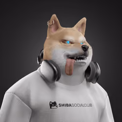 Shiba #4655