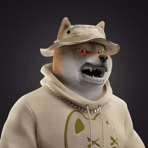 Shiba #10
