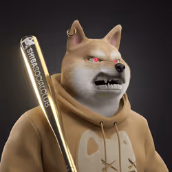 Shiba #1645