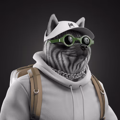 Shiba #37