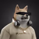 6204