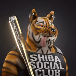Shiba #4278