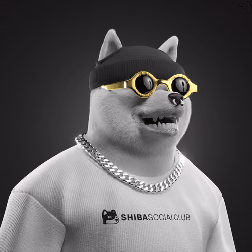 Shiba #270